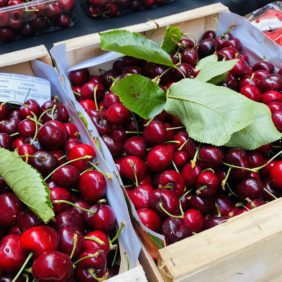 Vence-Eco Chez Sophie et Stéphane