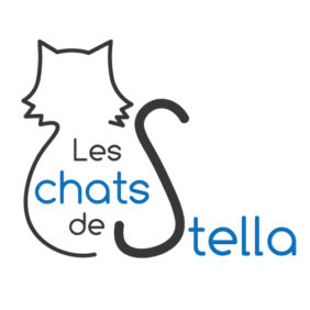 Création de logo 