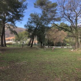 Un magnifique terrain sécurisé sous les arbres