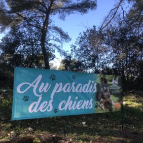 AU PARADIS DES CHIENS